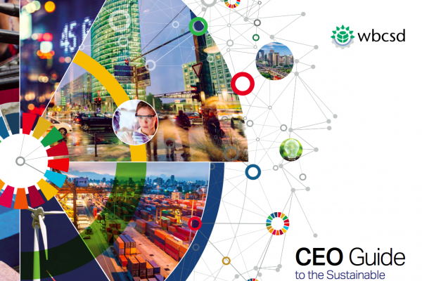 CEO Guide to the SDGs