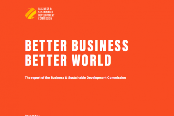 BSDC Better Business Better World